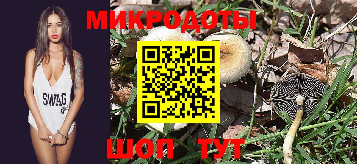 Галлюциногенные грибы Magic Shrooms  Галлюциногенные грибы Psilocybe  Вход с VPN  Ирбит 